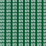 Doar cei cu vederea ascuțită vor putea rezolva acest puzzle