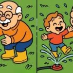 Test IQ: găsiți 3 diferențe între imaginea bunicului și a