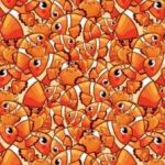 Un puzzle pentru cei cu vedere de șoim: găsiți o