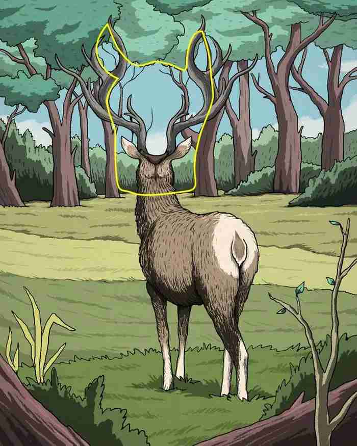 Un puzzle exploziv cu o întorsătură: doar câțiva pot găsi puma în pădure