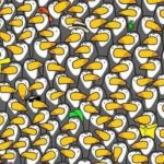Un puzzle pentru cei cu vedere excelentă: trebuie să găsești