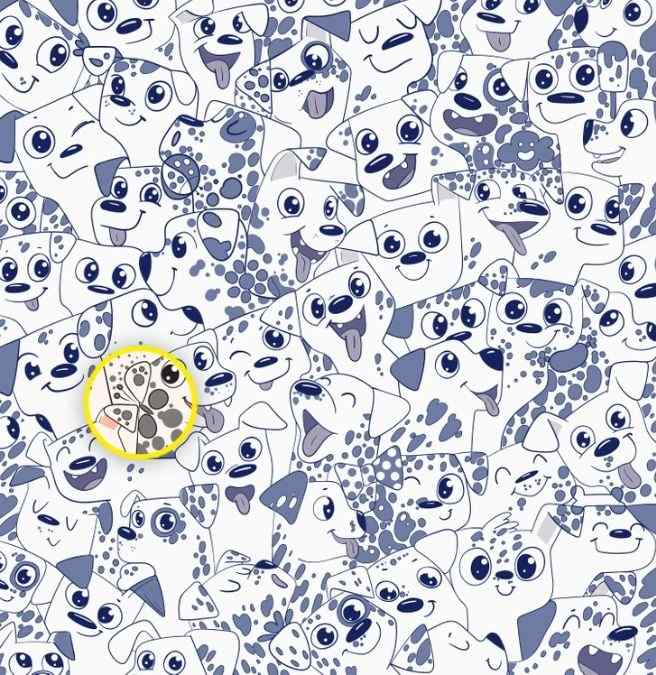 Doar câțiva o pot face: doar geniile pot găsi un fluture printre câini în 6 secunde