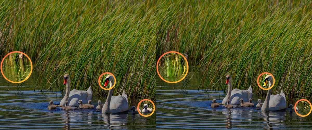 Pentru a face față puzzle-ului a fost necesar să acordăm atenție micilor detalii / colaj Moje