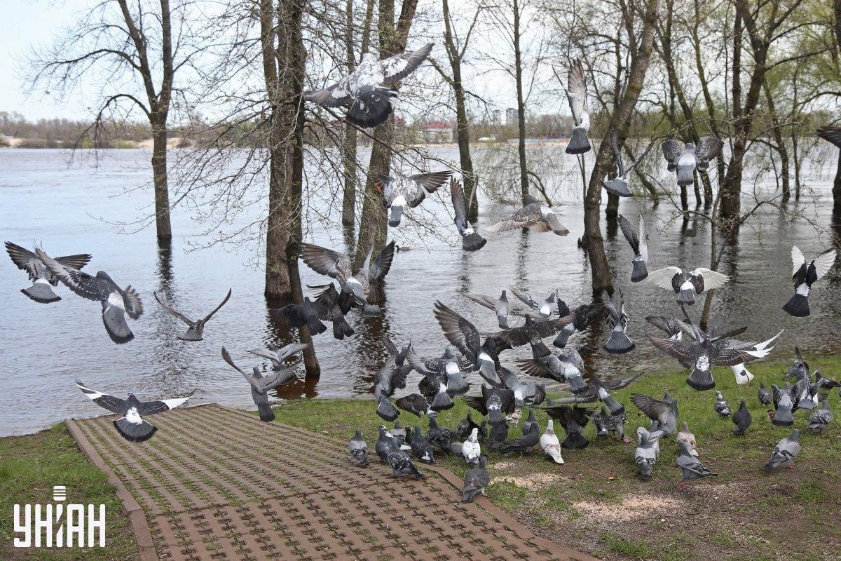 Fotografie Moje