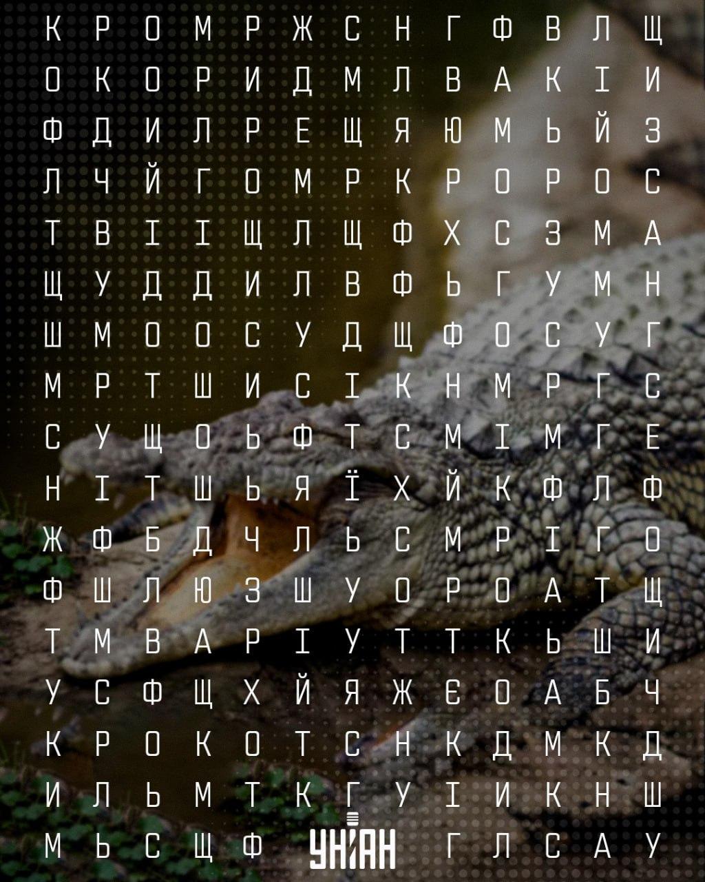 Colaj Moje