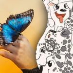 Doar câțiva o pot face: doar geniile pot găsi un
