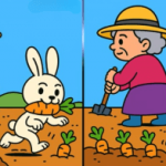 Super puzzle: găsiți 3 diferențe în imaginea cu bunica în