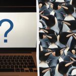 Toată lumea vede pinguini, dar tu trebuie să găsești o