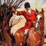 Un puzzle pentru cei cu vederea strălucitoare: găsiți vulpea în