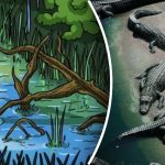 Unde se ascunde crocodilul: doar cei mai inteligenți vor găsi